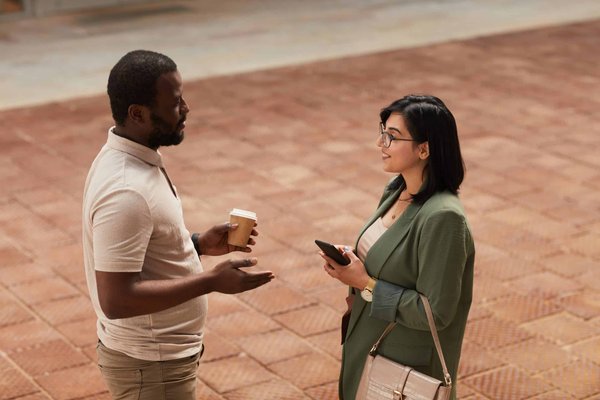 How to create an eco-friendly and cat-safe indoor garden?