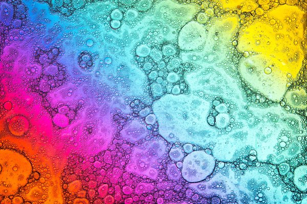 How to Create an Ideal Temperature Gradient in a Leopard Gecko's Enclosure?